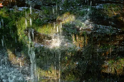 DSC_2816 (Large).JPG